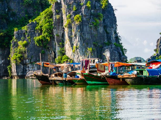 Escape to Vietnam with Halong Bay Cruise