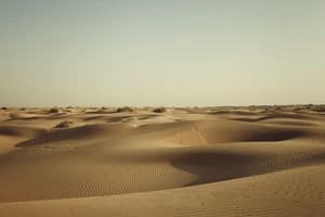Jaisalmer Tour
