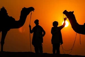Jaipur & Pushkar Tour