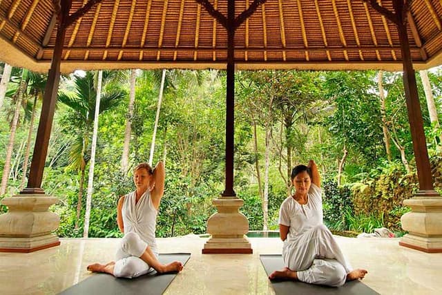 Wellness & Yoga Retreat