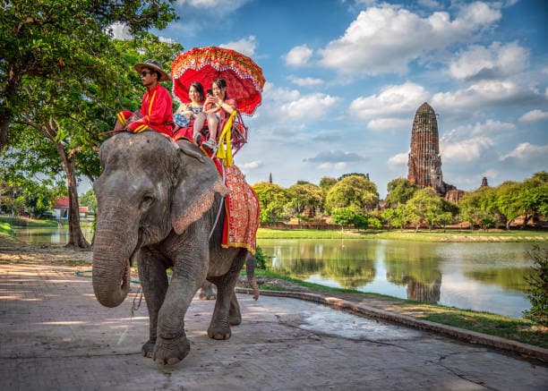 Home to the Elephants – 19 Days