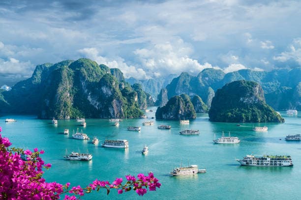 Vibrant Vietnam