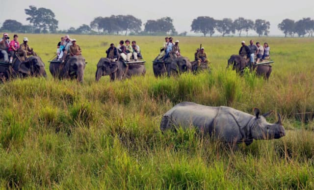 Assam & Kaziranga Wildlife Tour
