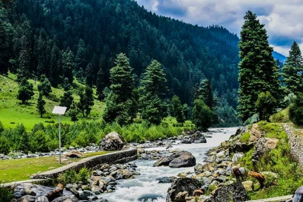  Kashmir Exotic Tour