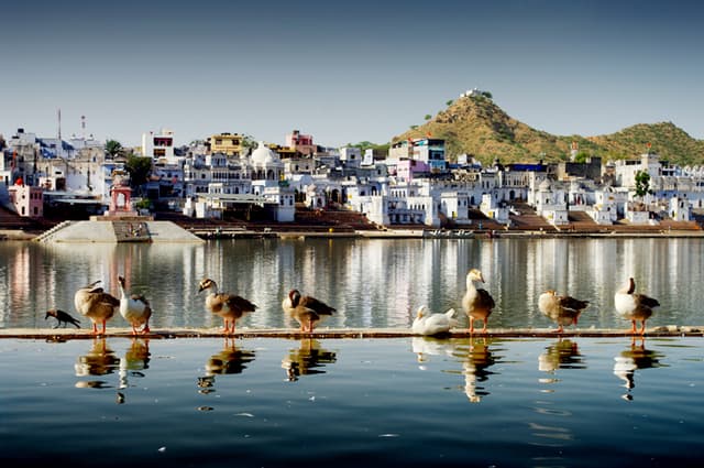 Golden Triangle with Pushkar