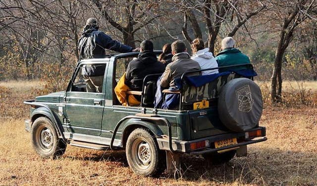 Golden Triangle with Ranthambore Safari