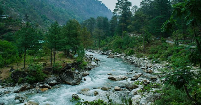 Tirthan Valley Nature Escape