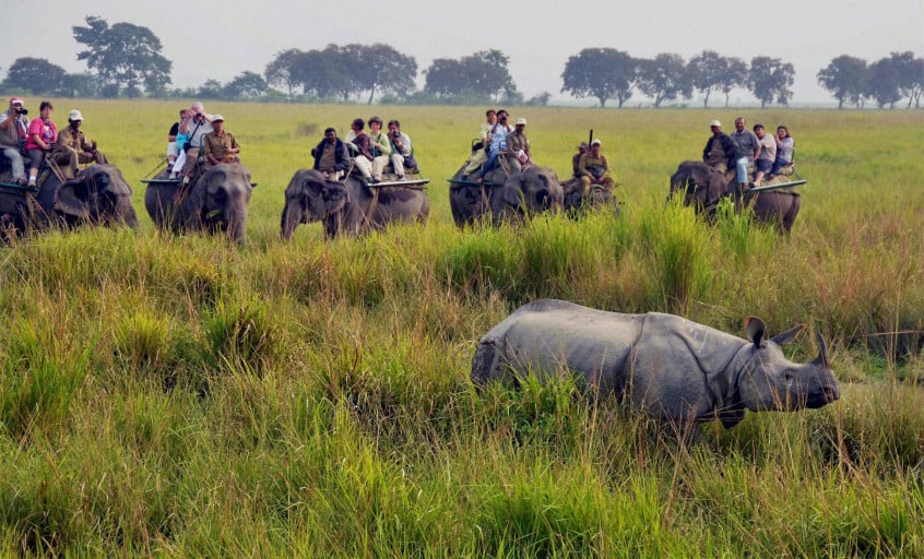 Assam & Kaziranga Wildlife Tour - Tour Package Hero Image