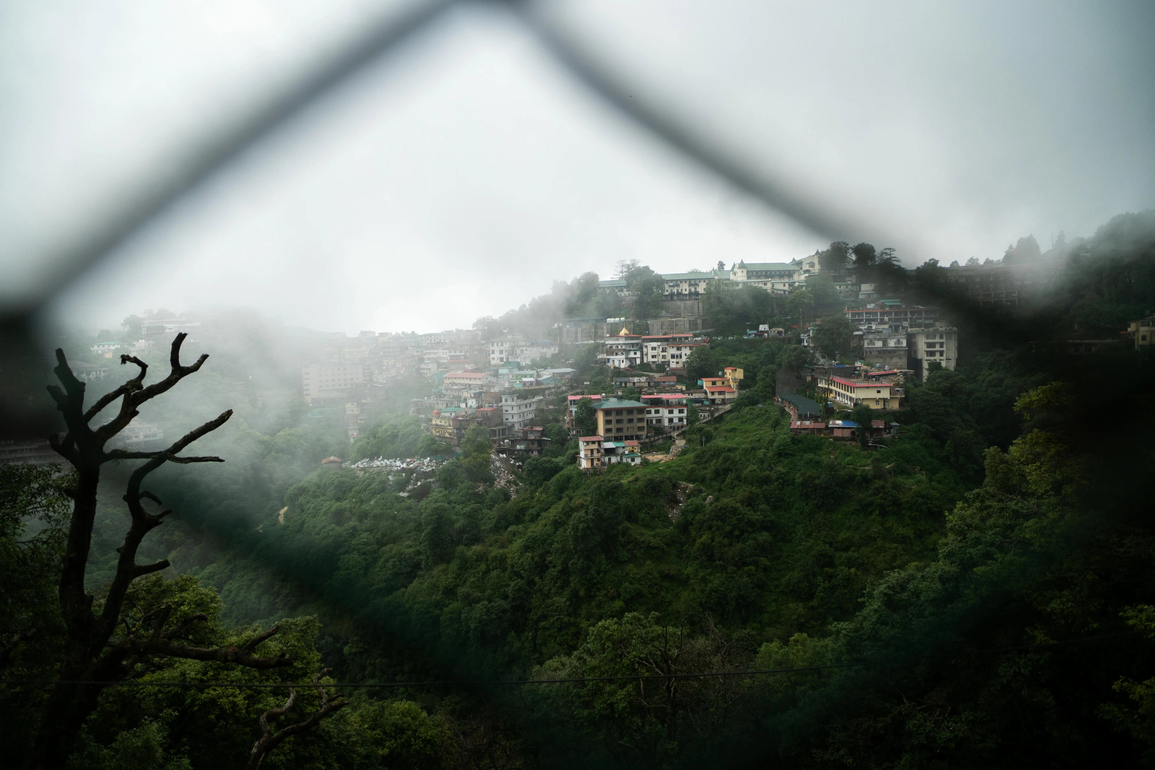 Mussoorie & Dhanaulti Honeymoon Tour - Tour Package Hero Image