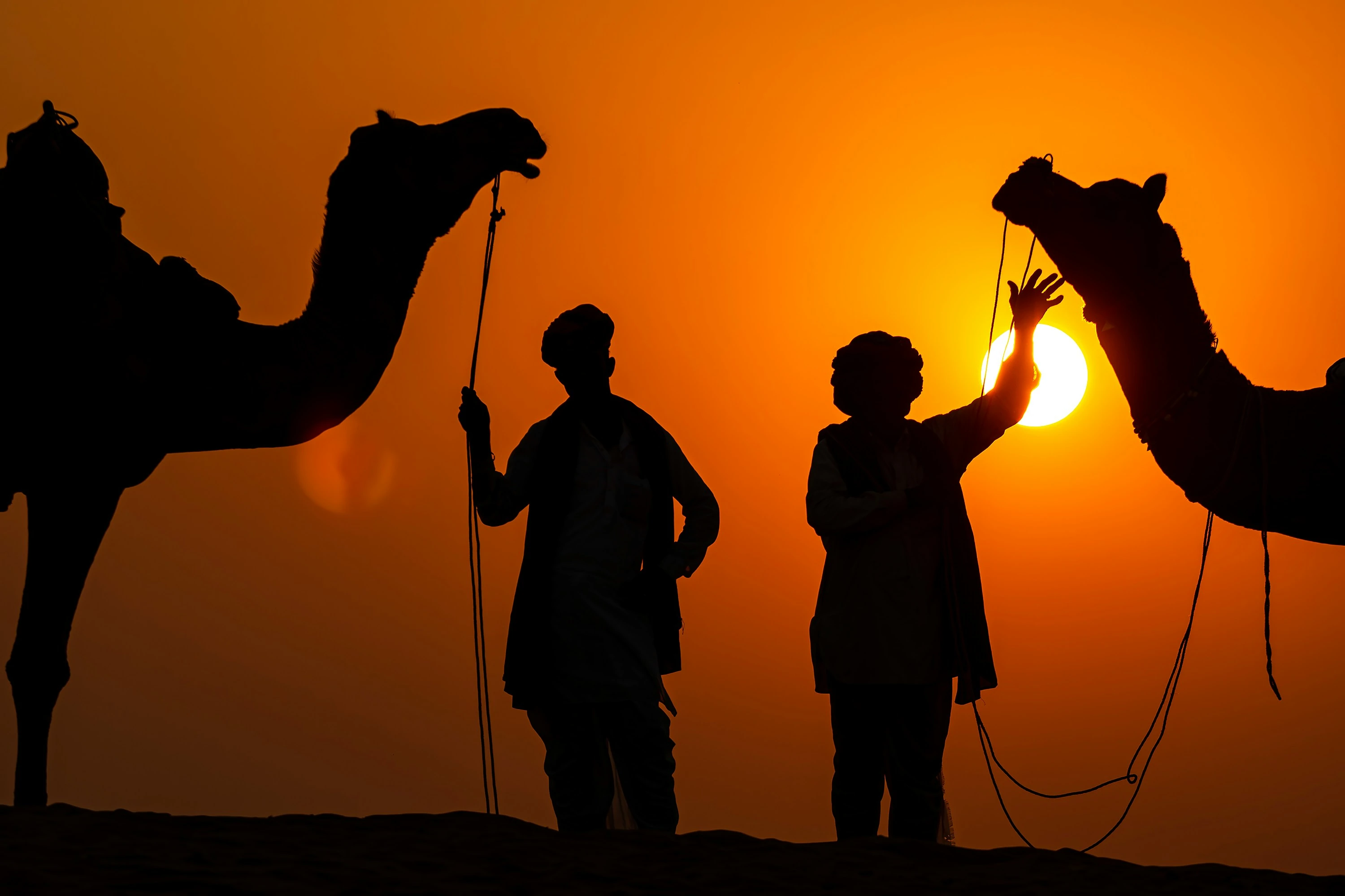 Jaipur & Pushkar Tour - Tour Package Hero Image