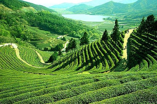 North East India